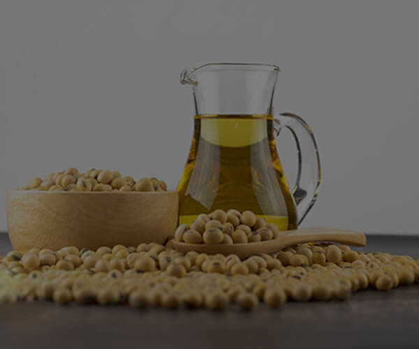 Quali sono i tipi più comuni di malfunzionamenti nelle centrifughe decanter utilizzate per applicazioni con fanghi oleosi